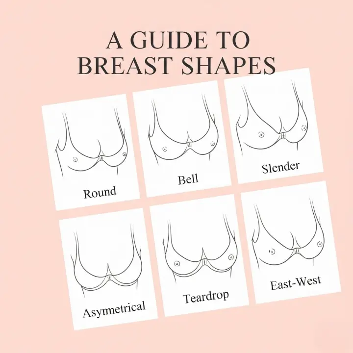 Advanced Bra Size Calculator UK Find Your Perfect Fit Instantly